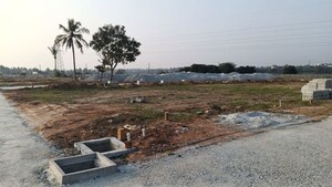 Plot For Sale in Kolar