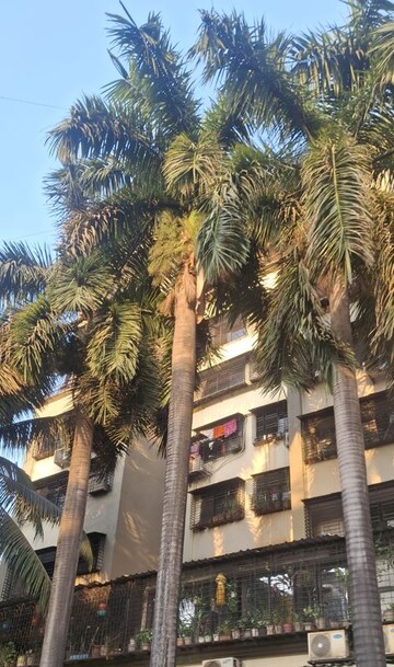 2 BHK Apartment For Rent in Kopar Khairane