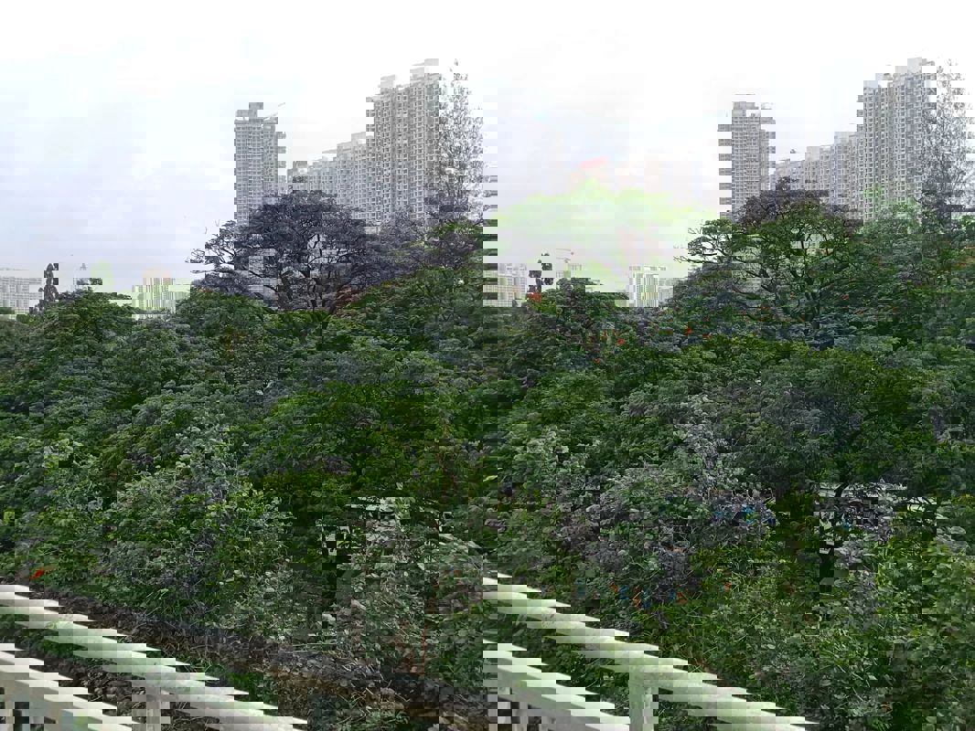 3 BHK + Extra Room Apartment For Sale in Conwood Enclave