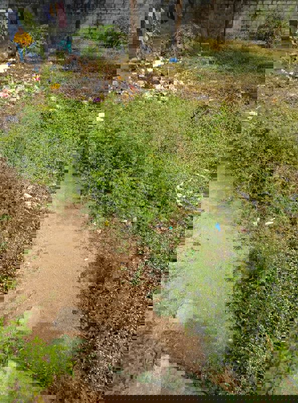 Plot For Sale in AMR Residency Kompally