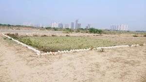 Plot Area in  Plot at Embassy Oxygen, Sector 144 – for Sale
