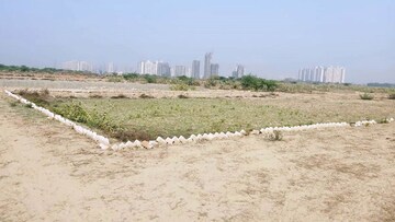 Plot Area in  Plot at Embassy Oxygen, Sector 144 – for Sale