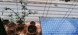 Parking in 2 BHK Apartment at Kosmos Vinayak Tower, Malad East – for Sale