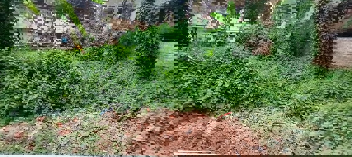 Plot For Sale in Punkunnam