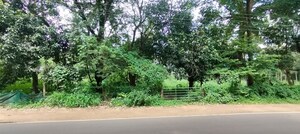 Plot Area in  Land at Athani – for Sale