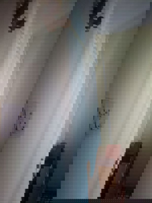 2 BHK Apartment For Rent in Nyati Meadows