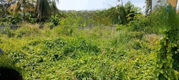 undefined, patturaickal Commercial Land 3920 Sq.Ft. In Patturaickal Thrissur 9779595