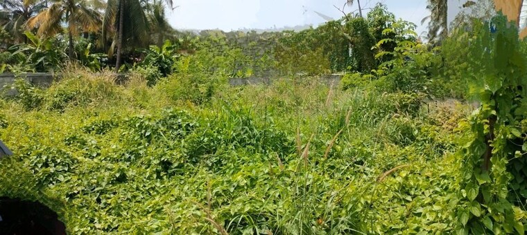 undefined, patturaickal Commercial Land 3920 Sq.Ft. In Patturaickal Thrissur 9779595