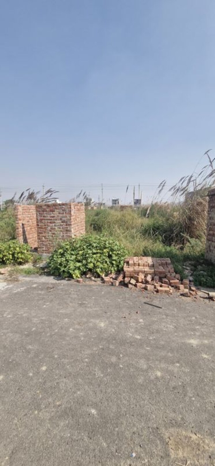 undefined, sector 25  161 Sq.Yd. Plot In SectoR 25 Rohtak 9779711