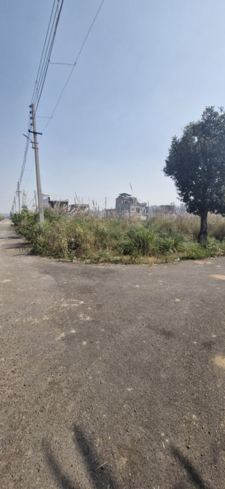 undefined, sector 25  161 Sq.Yd. Plot In SectoR 25 Rohtak 9779711