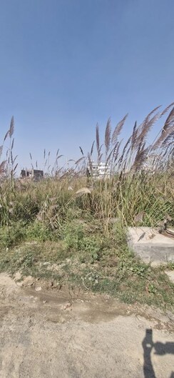 Plot For Sale in Sector-25