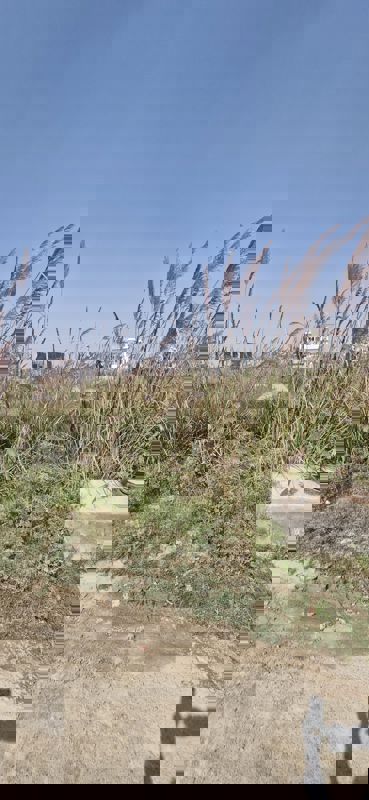 Plot For Sale in Sector-25