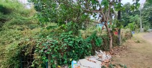  Plot For Sale in Cherpu