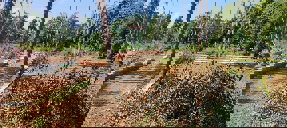 Plot For Sale in Mannuthy