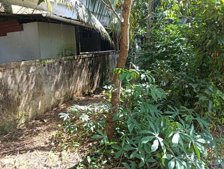 Exterior View, kuttoor  3376 Sq.Ft. Plot In Kuttoor Thrissur 9780089