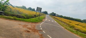  Land For Sale in Thelichatha Nallur
