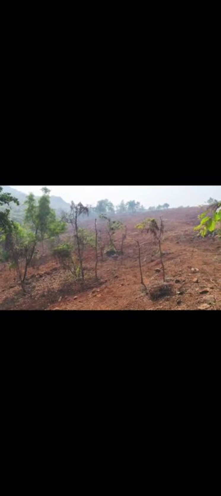 undefined, mopa  350 Sq.Yd. Plot In Mopa Goa 9780272