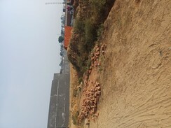 Plot For Sale in Nacholi