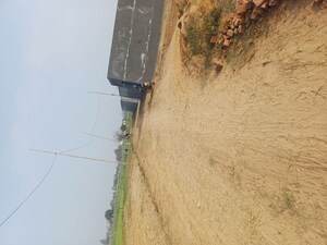 Plot Area in  Plot at Nacholi – for Sale