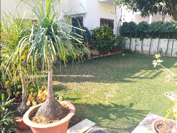 2 BHK + Servant Room Apartment For Rent in Vaishali Nagar