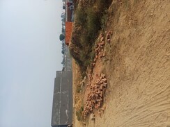 Plot For Sale in Nacholi