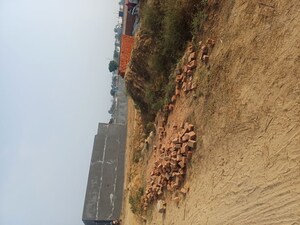  Plot – Exterior View View at Nacholi - for Sale