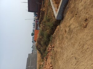  Plot For Sale in Nacholi