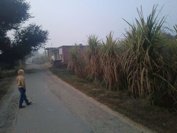 Plot Area in  Plot at Bidhapur – for Sale