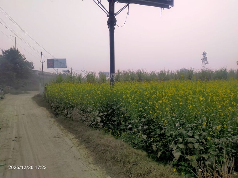 undefined, modinagar Commercial Industrial Plot 10000 Sq.Yd. In Modinagar Ghaziabad 9781142