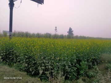 Plot Area in  Industrial Plot at Modinagar – for Sale