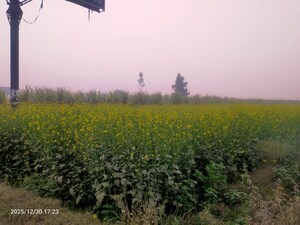 Plot Area in  Industrial Plot at Modinagar – for Sale