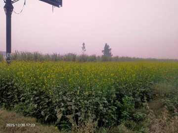 Plot Area in  Industrial Plot at Modinagar – for Sale