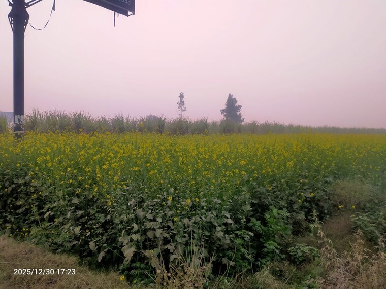 undefined, modinagar Commercial Industrial Plot 10000 Sq.Yd. In Modinagar Ghaziabad 9781142