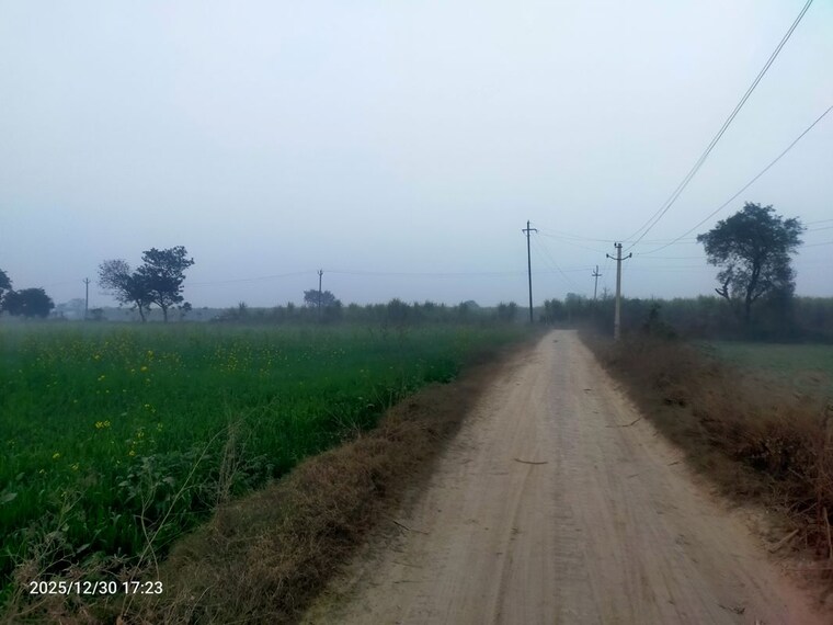 undefined, modinagar Commercial Industrial Plot 10000 Sq.Yd. In Modinagar Ghaziabad 9781142