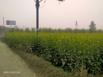 Plot Area in  Industrial Plot at Modinagar – for Sale