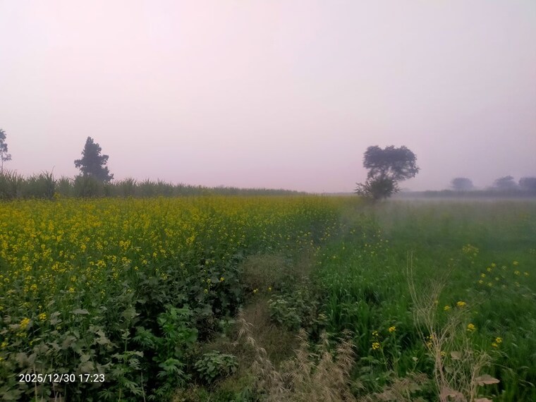 undefined, modinagar Commercial Industrial Plot 10000 Sq.Yd. In Modinagar Ghaziabad 9781142