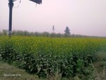 10000 Sq.Yd. Industrial Plot in Modinagar