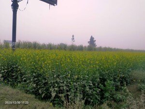  Industrial Plot For Sale in Modinagar