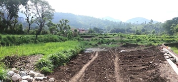 Plot Area in  Land at Bhogpur – for Sale