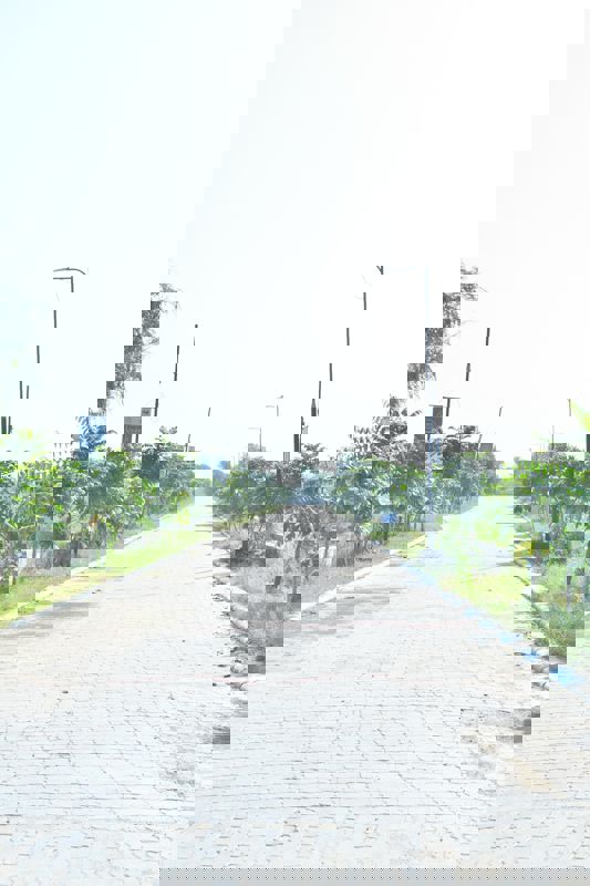 Plot Area in  Plot at Chaksu – for Sale