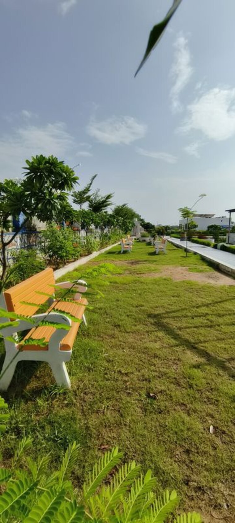 Garden, chaksu  511 Sq.Yd. Plot In Chaksu Jaipur 9781472