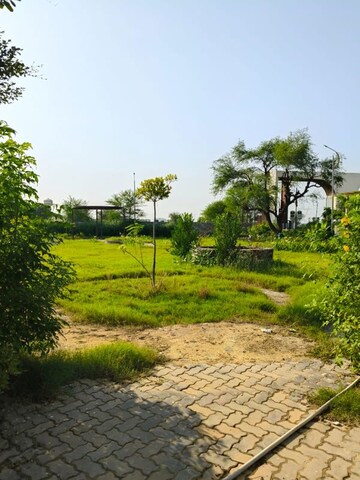 Plot Area in  Plot at Chaksu – for Sale