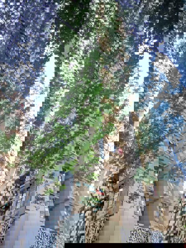 2 BHK Apartment For Rent in Avyukta Jayesh