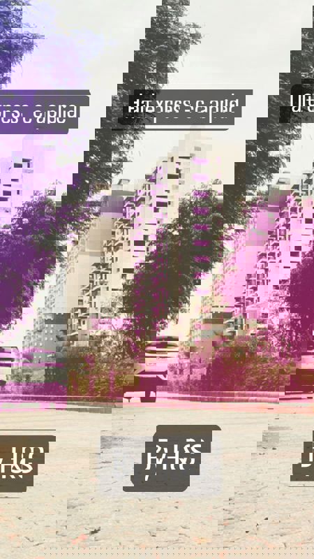 2 BHK Apartment For Sale in Sikka Kaamya Greens