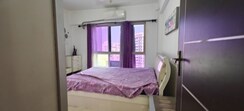 2 BHK Apartment For Rent in Nahar Jonquille And Jamaica