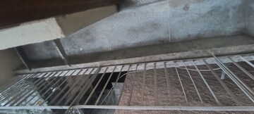 Balcony in 2 BHK Builder Floor at Khirki Extension – for Rent