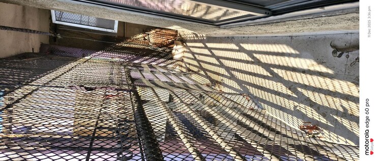 Exterior View, rashmi-star-city 1 Bedroom 555 Sq.Ft. Apartment In Naigaon East Palghar 9781795