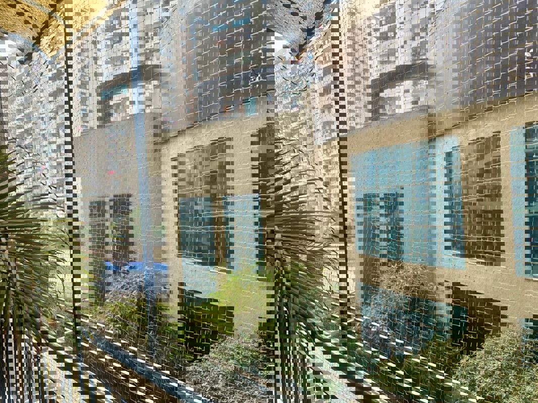 2 BHK Apartment For Rent in MCC Signature Heights