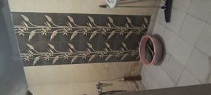 Bathroom in 2 BHK Builder Floor at Malviya Nagar – for Rent