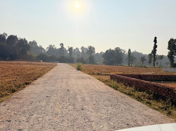 undefined, badripur  246 Sq.Yd. Plot In Badripur Dehradun 9781828